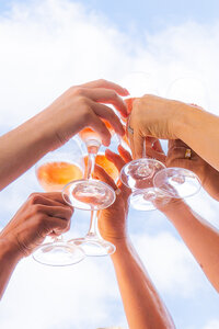 bridesmaids wedding toast in san francisco