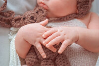 Newborn baby hands gently holding a small knit teddy bear during studio session