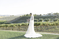 sunset-portraits-Leal-Vineyards-91
