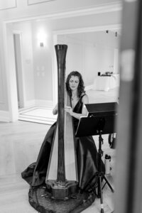 wedding harpist playing during wedding reception