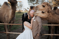Family celebrating together during an Adelaide wedding