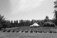 Woodinville_Lavender_Wedding_Lauren_New_Photography-27_websize