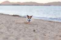 portrait-photography-mallorca-c2026-89