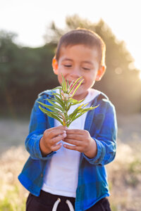 children-photoshoot-mallorca-woods-neco--3