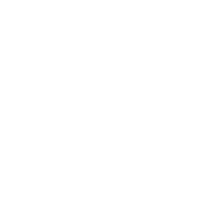 june bug weddings logo