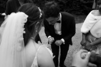 new-england-wedding-photographer-nyc-photographer-love-melissa-639_websize