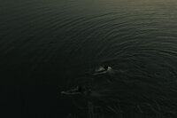 cliffjumping!-36
