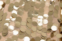 Champagne-Payette-Backdrop-02