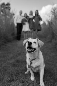 melmarie-photography-family-portraits-west-bend-wi.jpg-082