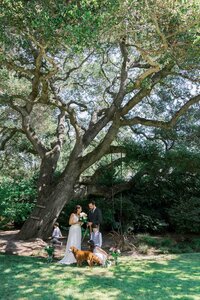 Bay Area Event Photographer-3951