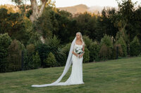 Christchurch New Zealand wedding photographer
