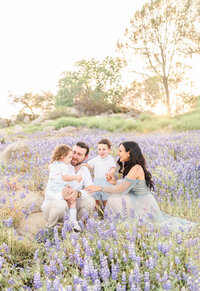Family of four sits and interacts playfully  in a flower field of lupines, photography from Bay Area photographer Light Livin Photography