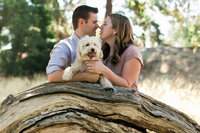 sacramento pet photographer, pet photographer sacramento, pet photos, pet photography, san francisco pet photos, pet photo sessions, pet photographer, pet photos sacramento, pet photos san francisco, family pet photos, family pet photo sessions