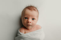 Bright-eyed newborn wrapped in white, alert and curious during a studio session with a Waukesha County newborn photographer.