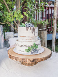 Shannon & Alex's Wedding Photos-229