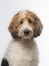 Baxter-021-Edit