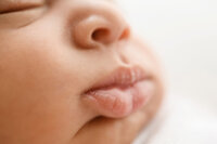 Portland Newborn Photographer