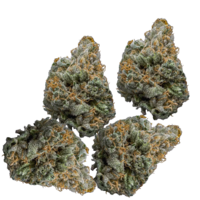 Earth Keeper Cannabis flower — organically grown and hand-trimmed.