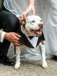 Mattress-Factory-Multicultural-Indian-Jewish-Wedding-Blended-NYC-Wedding-Photography-Maya-Lovro-12