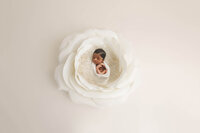 Charleston, SC Baby Photographer