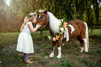 Northern California Equine Portraits