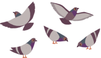 group of cartoon pigeons