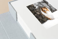 spokane-pet-photography-folio-box