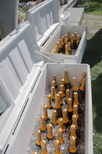 Coolers filled with champagne bottles.