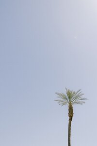 003-R6228880