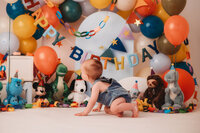 Cake-Smash-Photographer-in-Charleston-28
