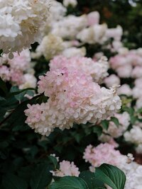 annie-spratt-aIghCSnBqi4-unsplash
