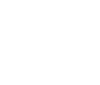 dahlia flower illustration