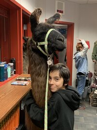 kuklenski-life-with-llamas_53460005614_o
