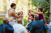 Tara Jacob Wedding-0220