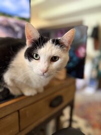 IMG_0639