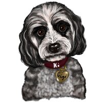 gigi dog laura geller