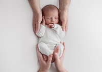 Image of Family at Studio Newborn Photography Session by Hobart Newborn Photographer Lauren Vanier
