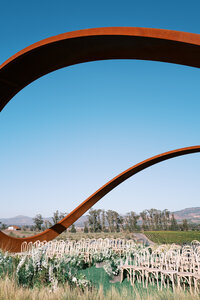 Stanly Ranch Wedding Photographer-0038