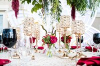 Distinct Event Planning & Dr Taketa's Birthday Soiree (2)