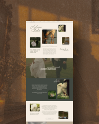 Untitled design (1)