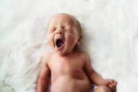 Best Baby Photographer in Charleston, SC poses Infant for Newborn Photoshoot.