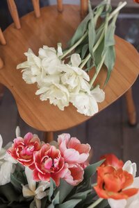 Lifestyle branding images showcasing Cherry Hill Flower Farm. A mix of portraits and candids to be used across social media and web presence. New Hampshire Branding Photographer for small businesses and creatives. Deborah Zoe Photography.