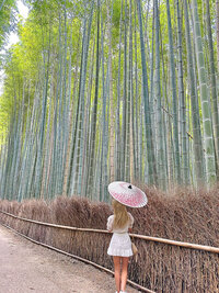 wandering through the Arashlyama bamboo forest in Kyoto