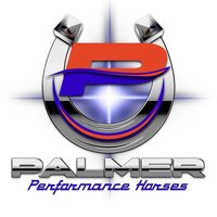 Palmer-logo