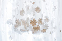HeyHoneyPhoto_AI_W-5