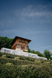 Doina+Stefan-6