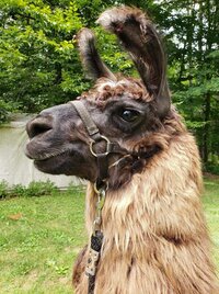 GALA photo contest