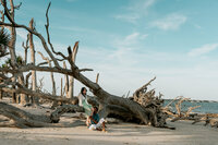DSC02532-2