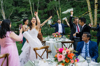 Nestldown-Wedding-Indian-Lebanese-40