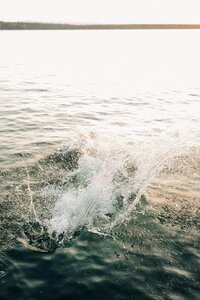 A couple, jumping into the water off of a dock.